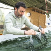 Pourquoi choisir la spiruline d'aqui?