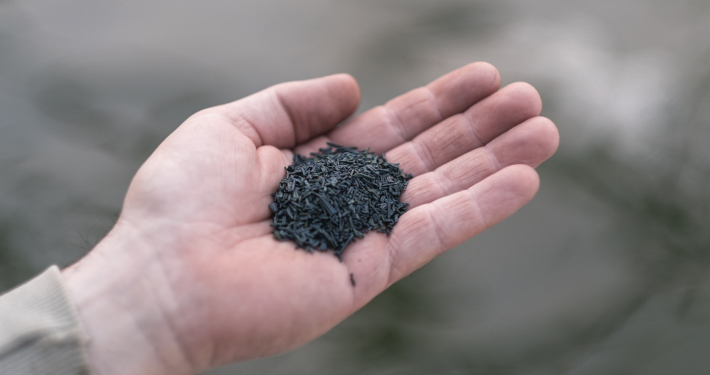 Spiruline d’Aqui, cultivée et préparée de façon artisanale, à La Crau (83).